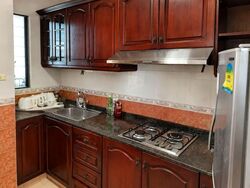 Tanglin Regency (D10), Condominium #603240751